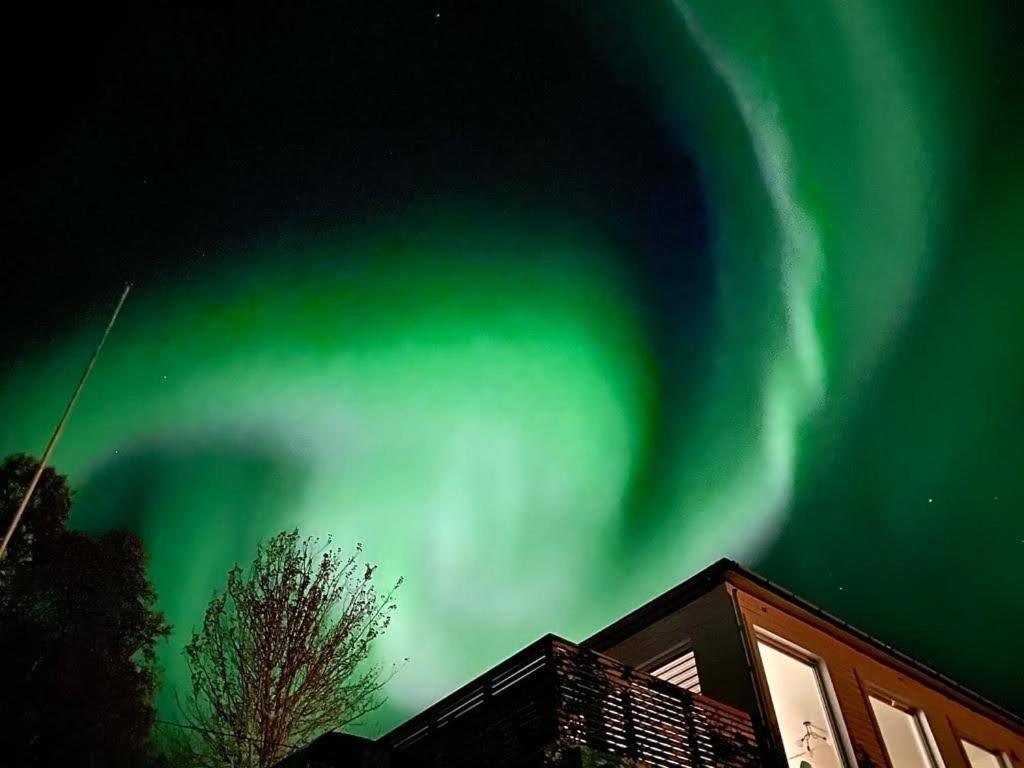 Waterfront Senja Apartment Torsken Екстериор снимка