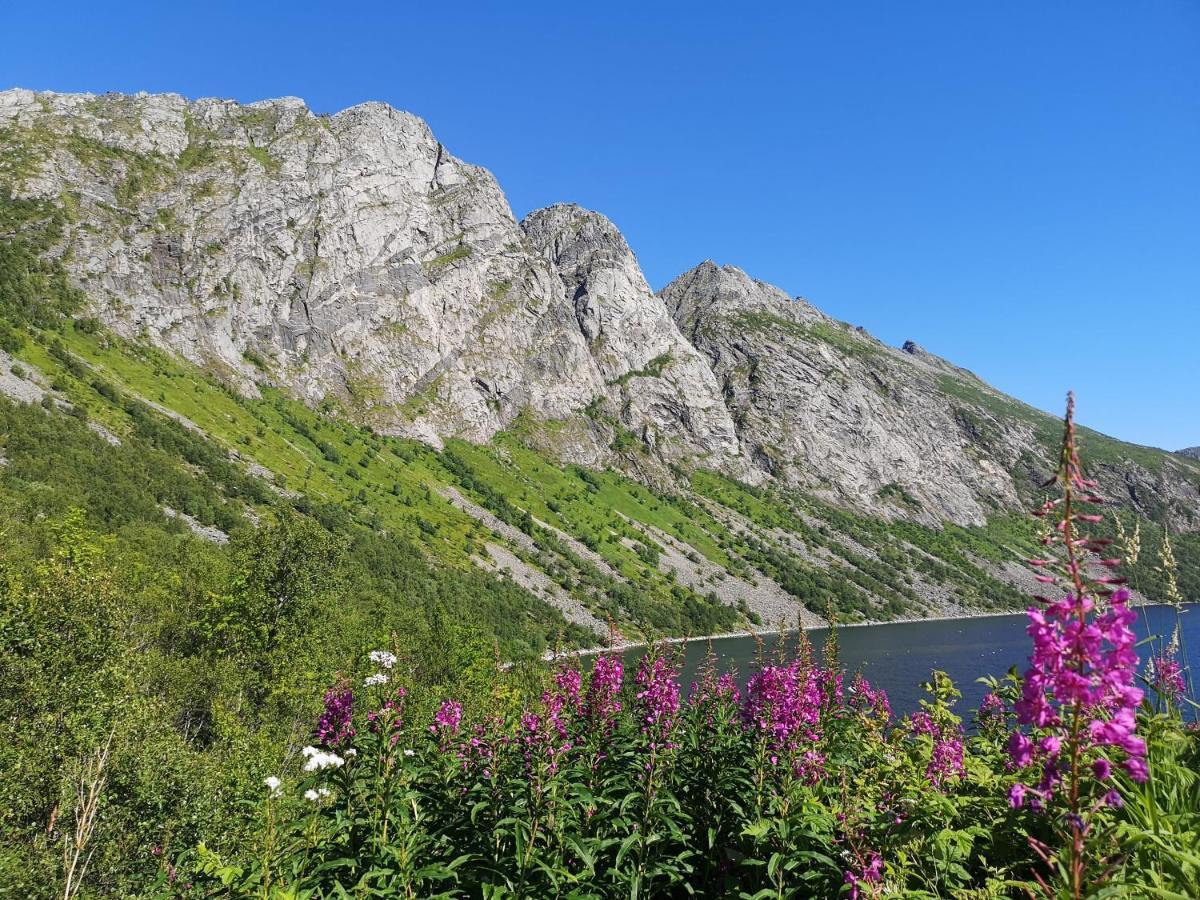 Waterfront Senja Apartment Torsken Екстериор снимка