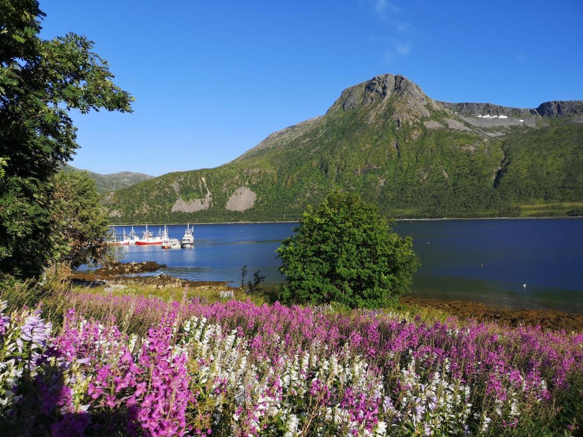 Waterfront Senja Apartment Torsken Екстериор снимка